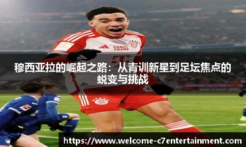 c7娱乐官方网站